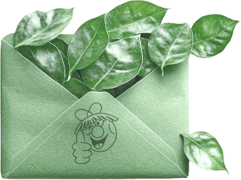 newsletter icon