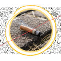 The butt is not the end of the cigarette.
