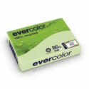 Clairefontaine Evercolor A3 420X297 80G Ram de 500 feuilles Vert Clair