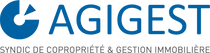 custom logo