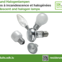 Plakat : Glüh- und Halogenlampen