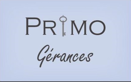 custom logo