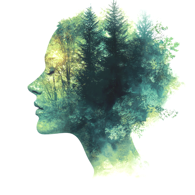 philosophie image